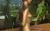 Selina Bronze Patiniert I Ill H 20cm